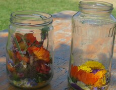 Blüten im Glas