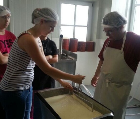 Herstellen von Käse