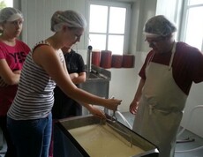 Herstellen von Käse