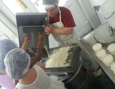 Herstellen von Käse
