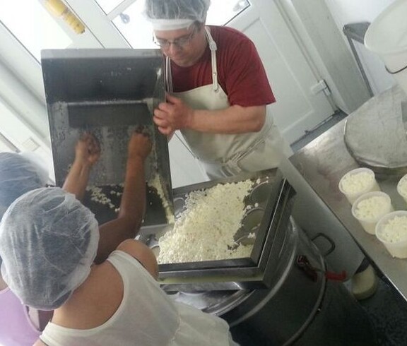 Herstellen von Käse